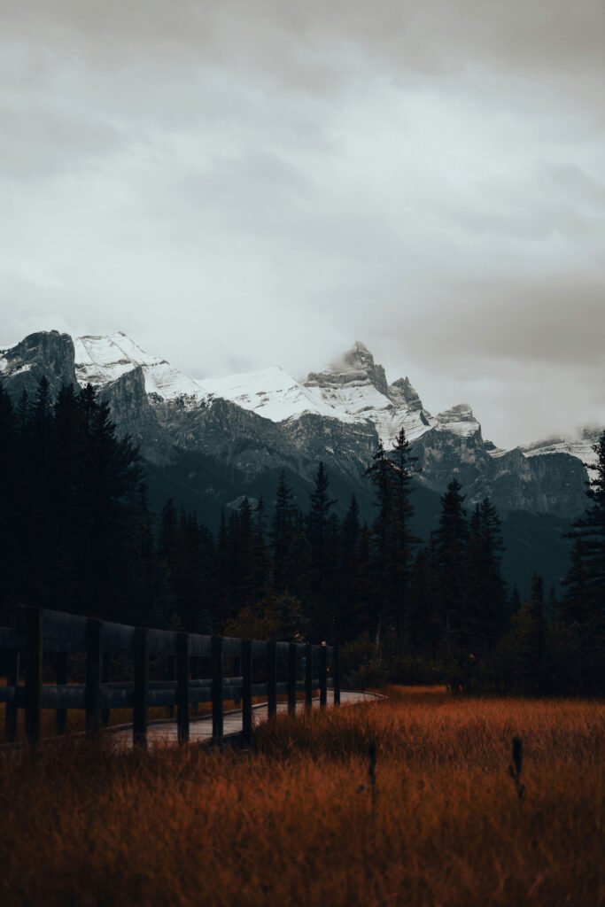 A view from the ground looking up to snow capped mountains