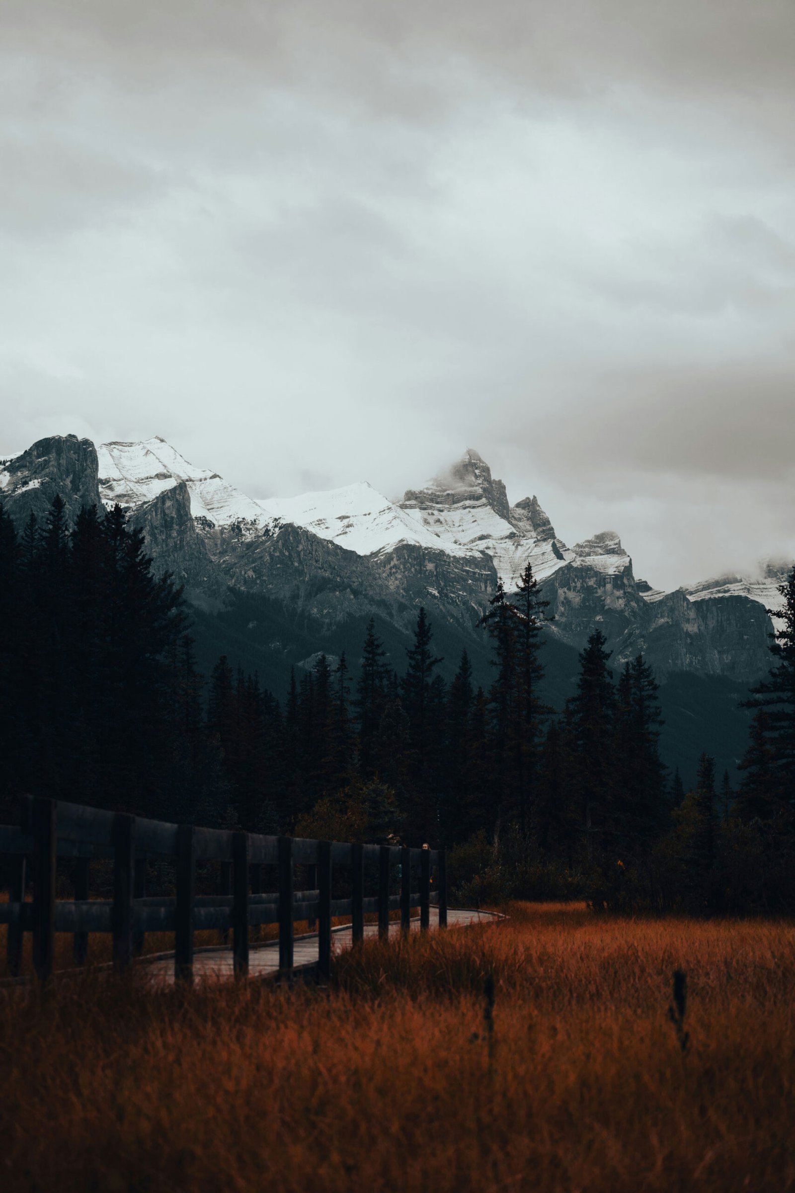 A view from the ground looking up to snow capped mountains