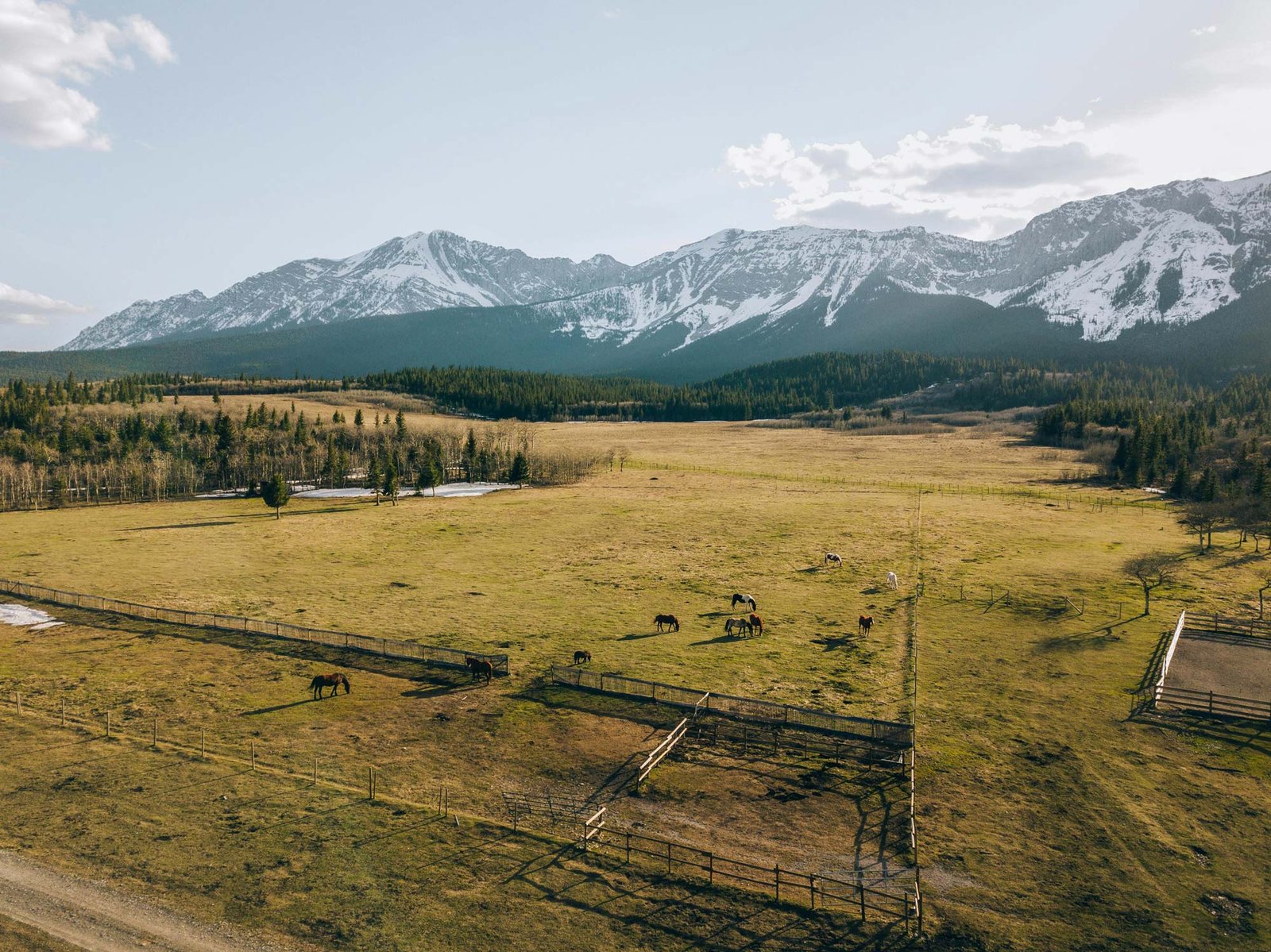 An open field in front of snow capped mountains