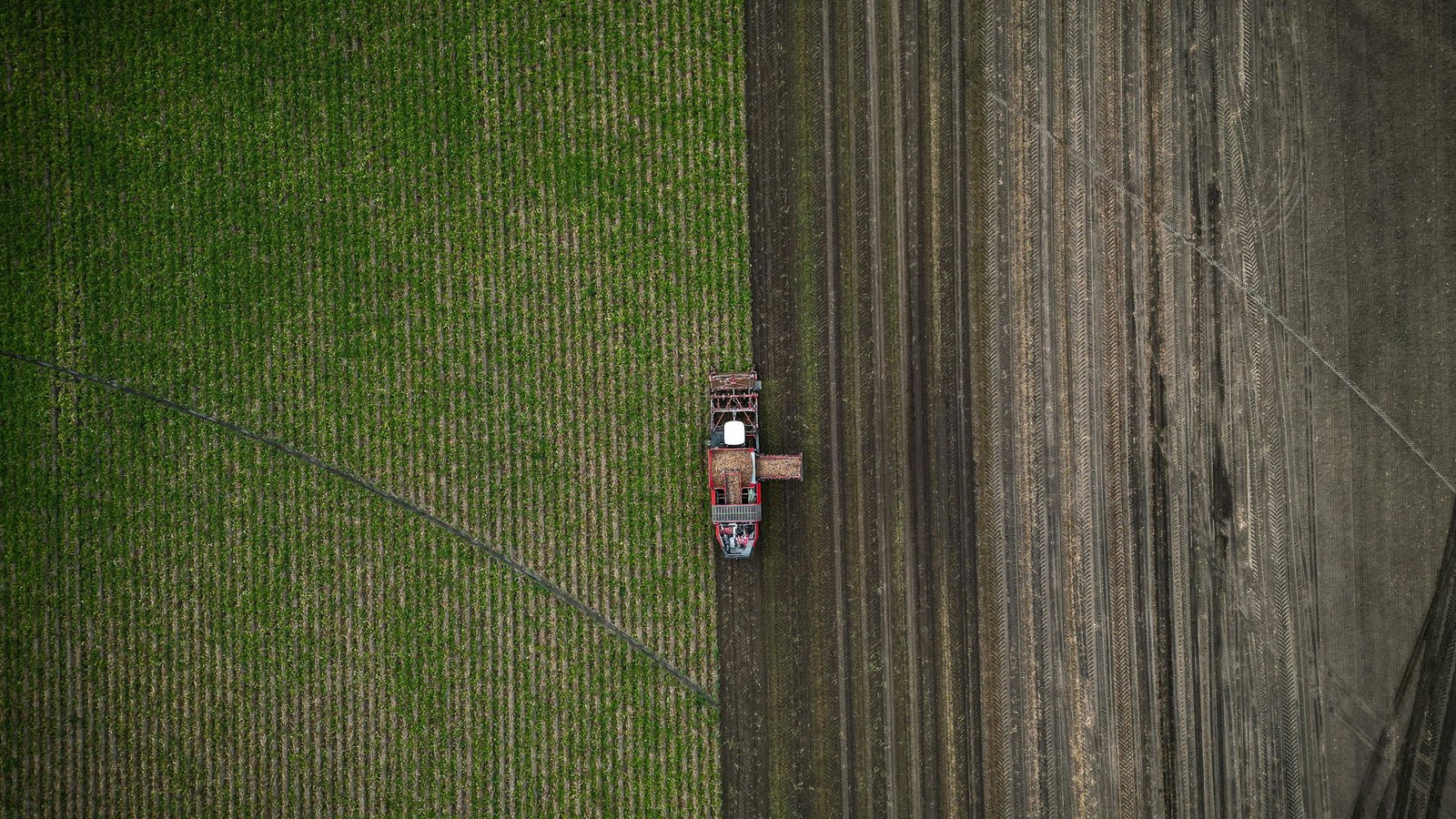 An overhead view of a tractor plowing a field